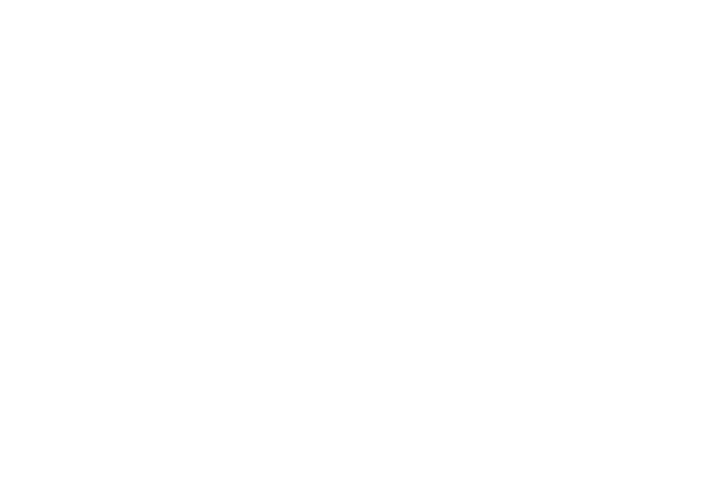 Carpe Diem Legal